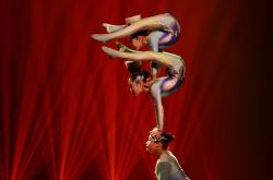 开云体育直播-包含精湛绝技频出，赛场风采满目耀眼的词条