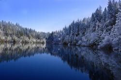 开云APP-马刺速胜奇才，锡安成为关键先生，一场战术与天赋的完美交响