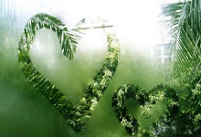 开云体育官网-美网碾压蒙特卡洛大师赛，辛纳惊艳四座的简单介绍