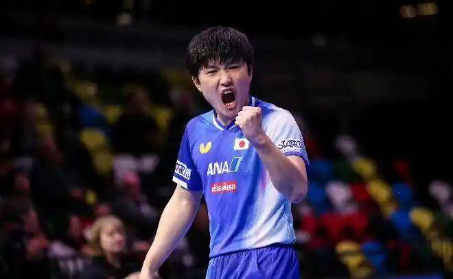 法国乒乓球队横扫奥地利乒乓球队,张本智和爆发神勇的简单介绍 法国乒乓球队横扫奥地利乒乓球队,张本智和爆发神勇的简单介绍