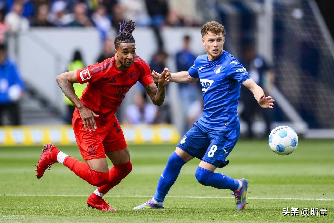 霍芬海姆主场告捷,加强争冠实力的简单介绍 霍芬海姆主场告捷,加强争冠实力的简单介绍