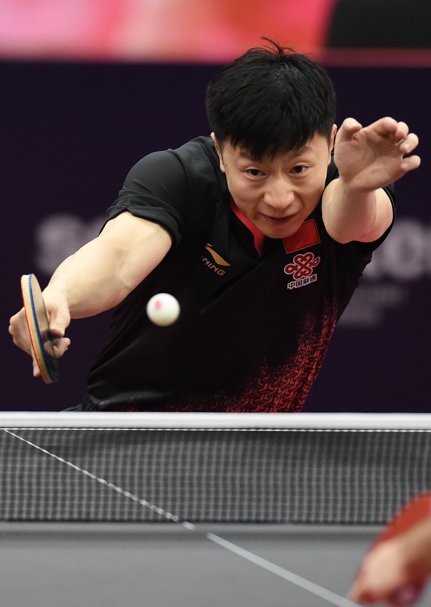 波兰乒乓球队绝地反击日本乒乓球队，马龙惊艳世界的简单介绍