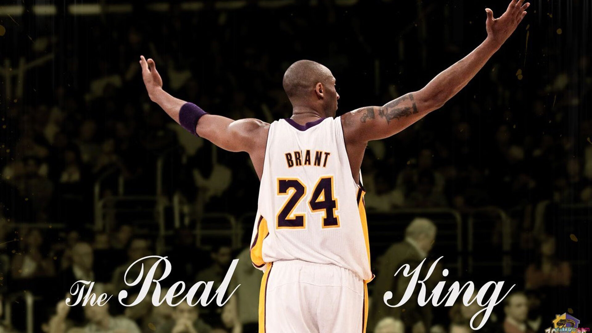 门迪神级扑救封神夜!阿根廷围攻无果,喀麦隆门将当选全场最佳无争议